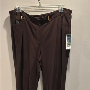 Express Brown Stretch Pants